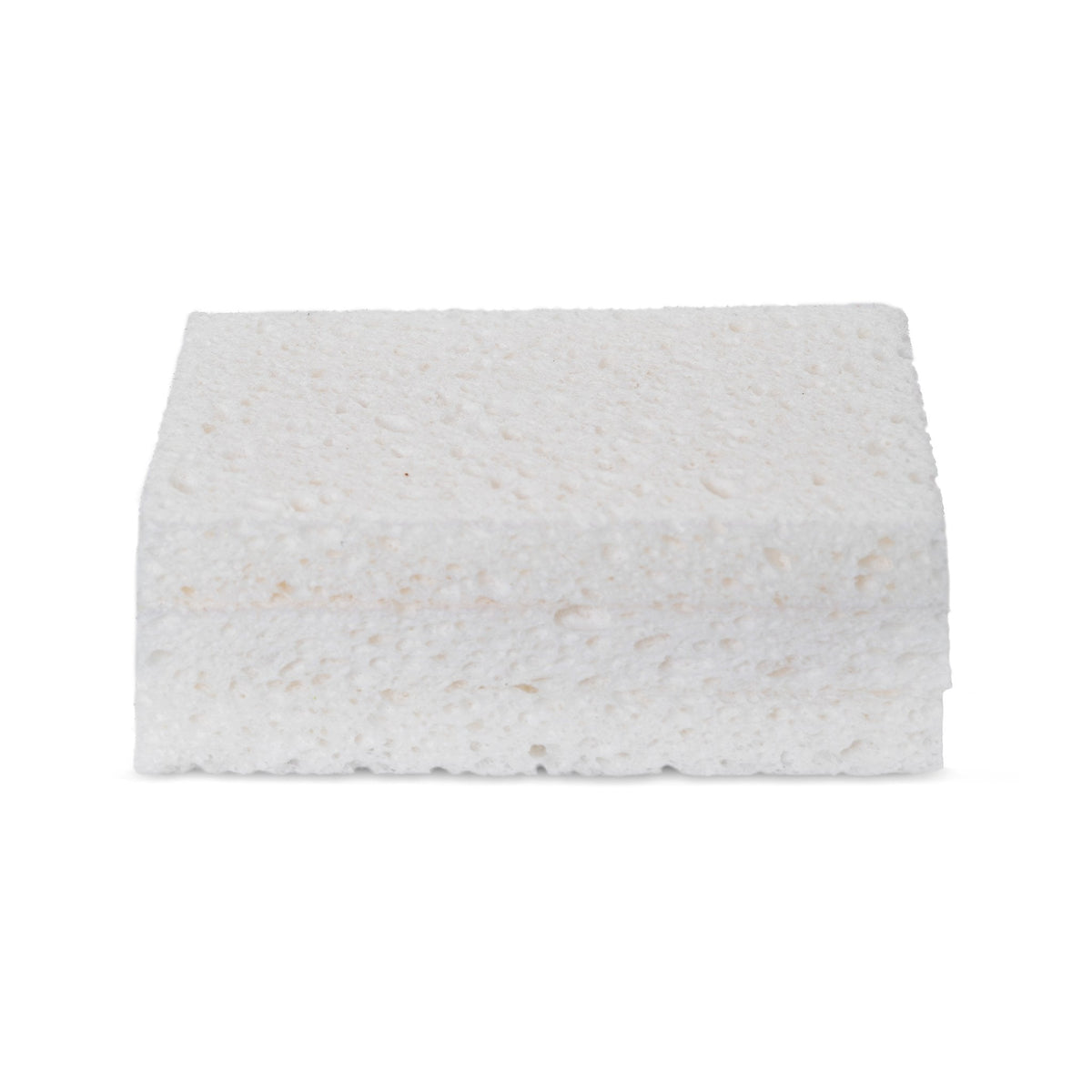 Totally Plant-Based Sponges